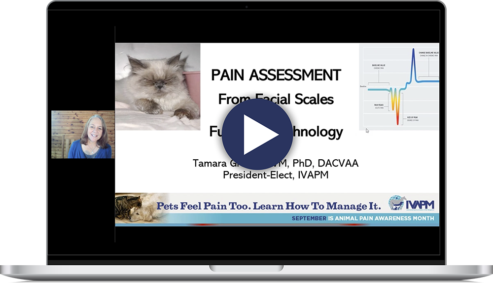 Pain Asessment Webinar Thumbnail on Laptop-01